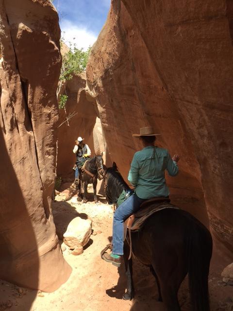 فندق بيغ ووترفي  Paria River Ranch المظهر الخارجي الصورة
